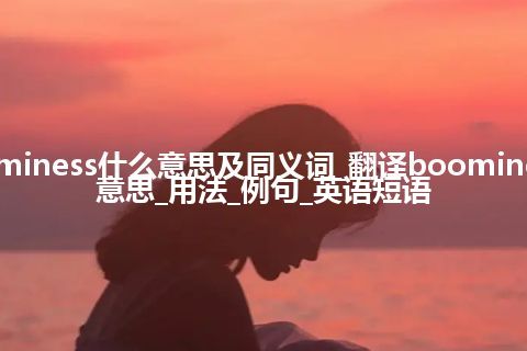 boominess什么意思及同义词_翻译boominess的意思_用法_例句_英语短语