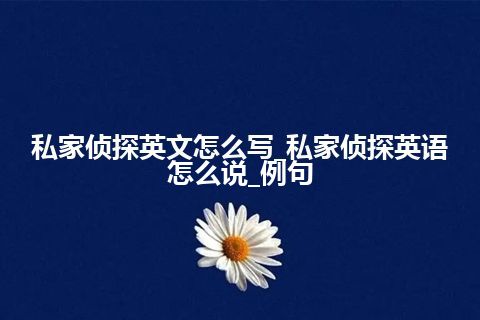 私家侦探英文怎么写_私家侦探英语怎么说_例句