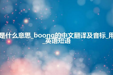 boong是什么意思_boong的中文翻译及音标_用法_例句_英语短语