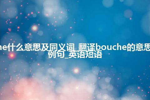 bouche什么意思及同义词_翻译bouche的意思_用法_例句_英语短语