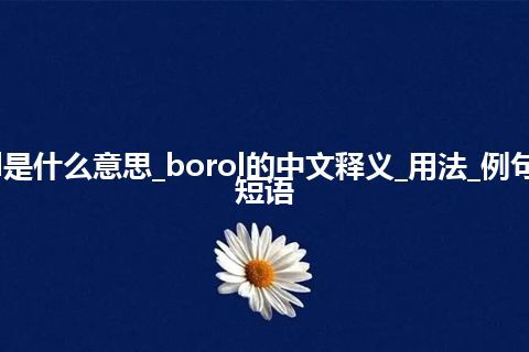 borol是什么意思_borol的中文释义_用法_例句_英语短语