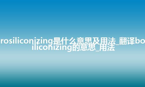 borosiliconizing是什么意思及用法_翻译borosiliconizing的意思_用法