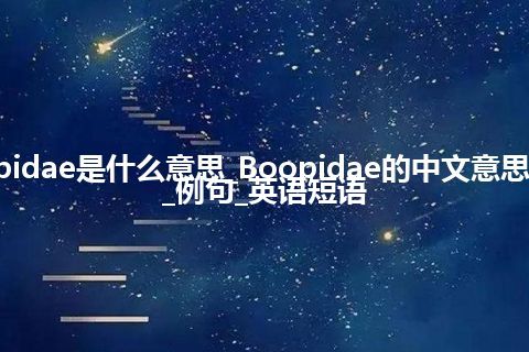 Boopidae是什么意思_Boopidae的中文意思_用法_例句_英语短语