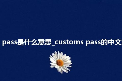 customs pass是什么意思_customs pass的中文解释_用法