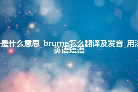 brume是什么意思_brume怎么翻译及发音_用法_例句_英语短语