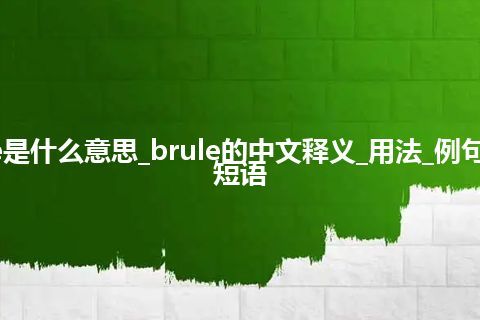 brule是什么意思_brule的中文释义_用法_例句_英语短语