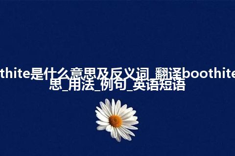 boothite是什么意思及反义词_翻译boothite的意思_用法_例句_英语短语