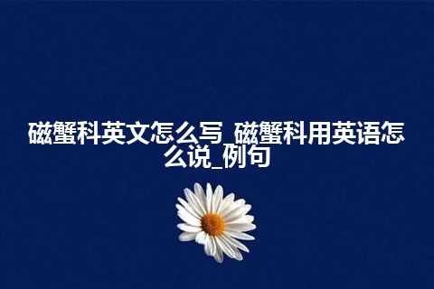 磁蟹科英文怎么写_磁蟹科用英语怎么说_例句