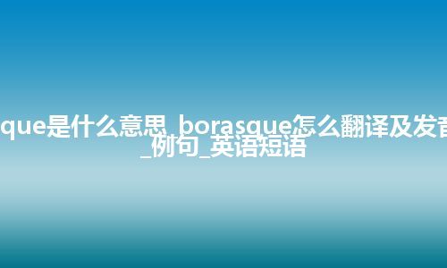 borasque是什么意思_borasque怎么翻译及发音_用法_例句_英语短语