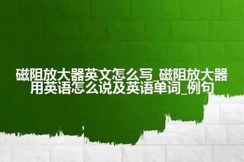 磁阻放大器英文怎么写_磁阻放大器用英语怎么说及英语单词_例句