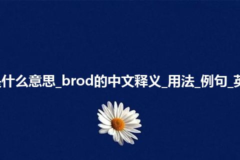 brod是什么意思_brod的中文释义_用法_例句_英语短语