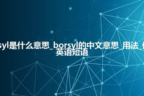 borsyl是什么意思_borsyl的中文意思_用法_例句_英语短语