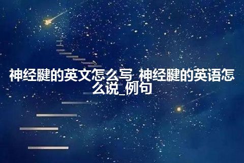 神经腱的英文怎么写_神经腱的英语怎么说_例句