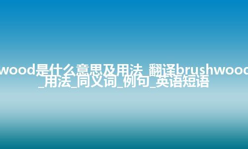 brushwood是什么意思及用法_翻译brushwood的意思_用法_同义词_例句_英语短语