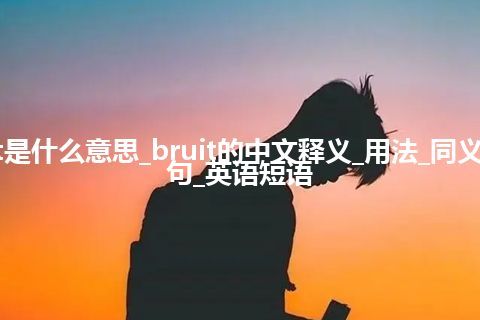 bruit是什么意思_bruit的中文释义_用法_同义词_例句_英语短语