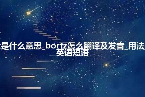 bortz是什么意思_bortz怎么翻译及发音_用法_例句_英语短语