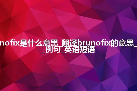 brunofix是什么意思_翻译brunofix的意思_用法_例句_英语短语