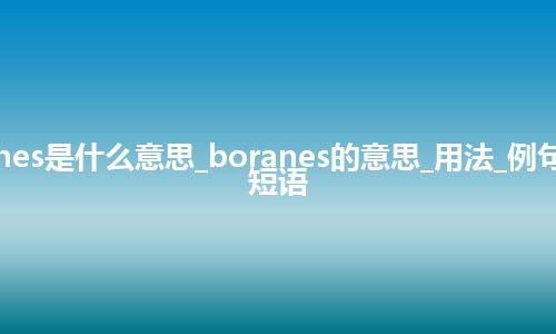 boranes是什么意思_boranes的意思_用法_例句_英语短语