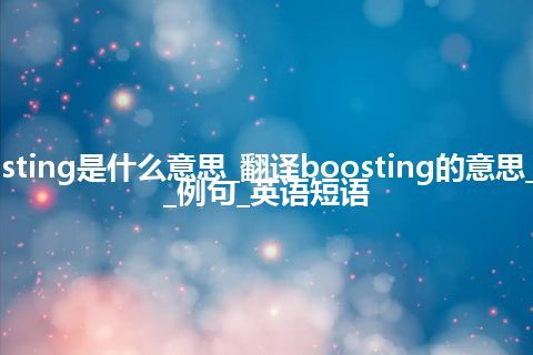 boosting是什么意思_翻译boosting的意思_用法_例句_英语短语