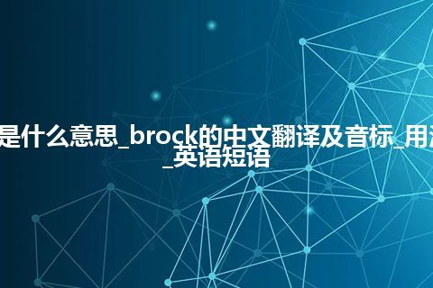 brock是什么意思_brock的中文翻译及音标_用法_例句_英语短语