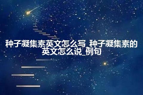 种子凝集素英文怎么写_种子凝集素的英文怎么说_例句