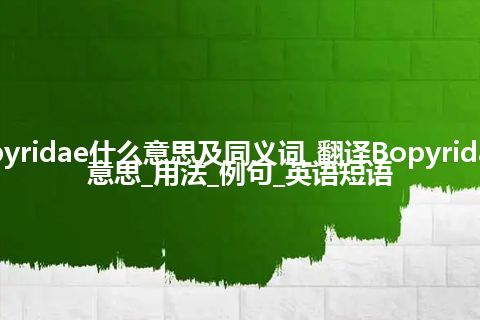 Bopyridae什么意思及同义词_翻译Bopyridae的意思_用法_例句_英语短语