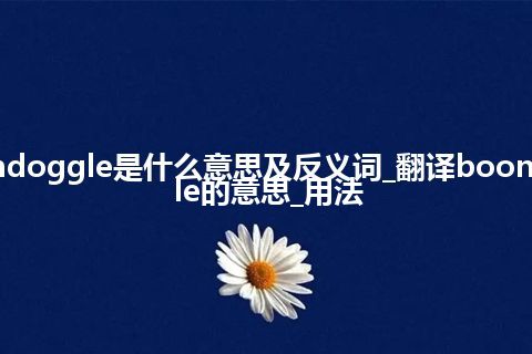 boondoggle是什么意思及反义词_翻译boondoggle的意思_用法