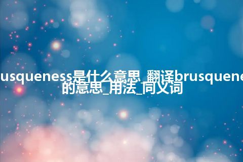 brusqueness是什么意思_翻译brusqueness的意思_用法_同义词