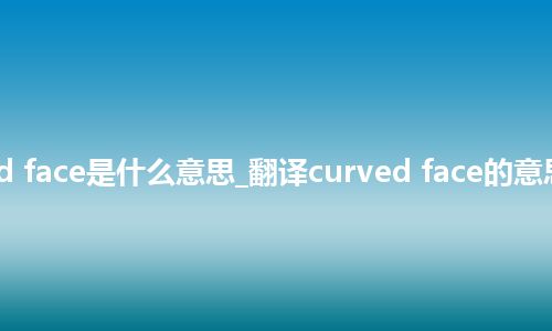 curved face是什么意思_翻译curved face的意思_用法