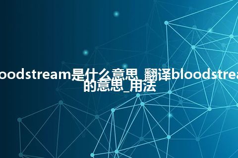 bloodstream是什么意思_翻译bloodstream的意思_用法