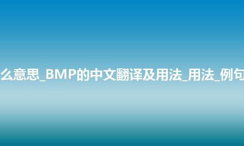 BMP是什么意思_BMP的中文翻译及用法_用法_例句_英语短语