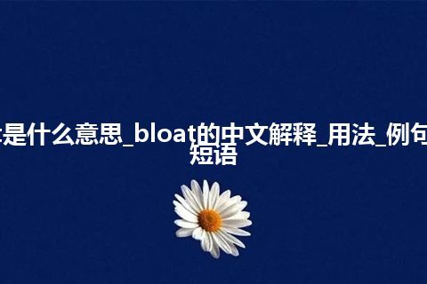 bloat是什么意思_bloat的中文解释_用法_例句_英语短语