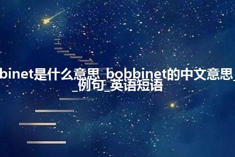 bobbinet是什么意思_bobbinet的中文意思_用法_例句_英语短语