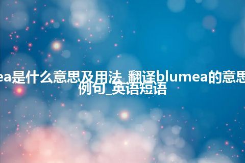 blumea是什么意思及用法_翻译blumea的意思_用法_例句_英语短语