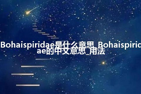 Bohaispiridae是什么意思_Bohaispiridae的中文意思_用法