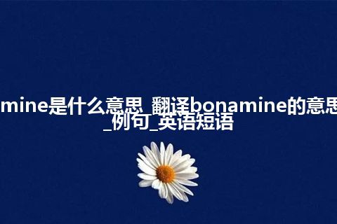 bonamine是什么意思_翻译bonamine的意思_用法_例句_英语短语