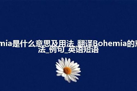 Bohemia是什么意思及用法_翻译Bohemia的意思_用法_例句_英语短语