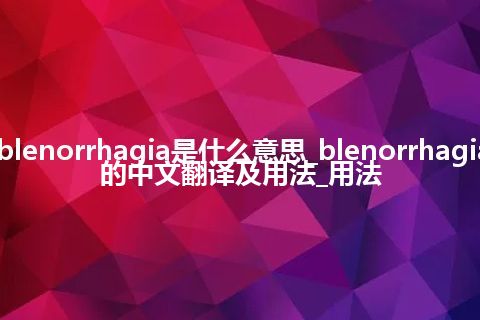 blenorrhagia是什么意思_blenorrhagia的中文翻译及用法_用法