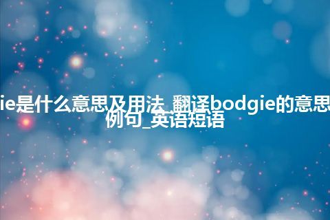 bodgie是什么意思及用法_翻译bodgie的意思_用法_例句_英语短语