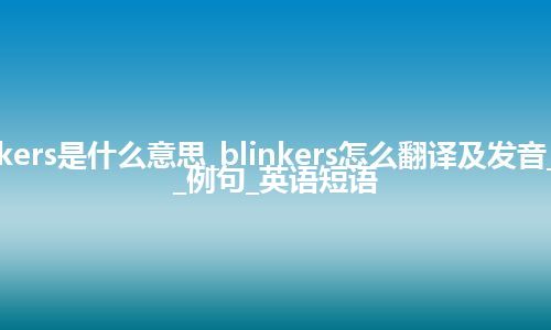 blinkers是什么意思_blinkers怎么翻译及发音_用法_例句_英语短语