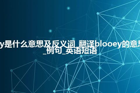 blooey是什么意思及反义词_翻译blooey的意思_用法_例句_英语短语