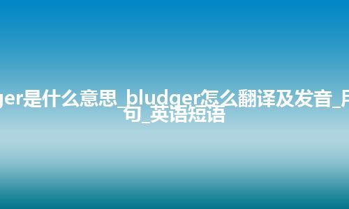 bludger是什么意思_bludger怎么翻译及发音_用法_例句_英语短语