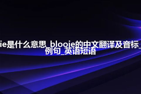 blooie是什么意思_blooie的中文翻译及音标_用法_例句_英语短语