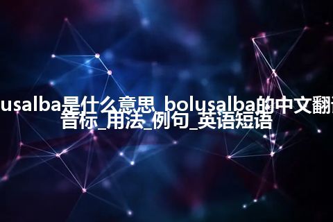 bolusalba是什么意思_bolusalba的中文翻译及音标_用法_例句_英语短语