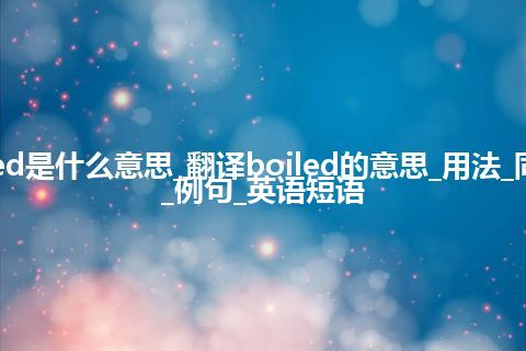 boiled是什么意思_翻译boiled的意思_用法_同义词_例句_英语短语