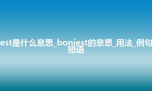 boniest是什么意思_boniest的意思_用法_例句_英语短语