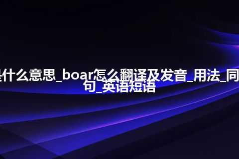 boar是什么意思_boar怎么翻译及发音_用法_同义词_例句_英语短语