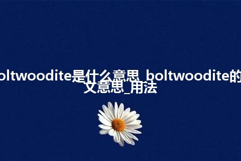 boltwoodite是什么意思_boltwoodite的中文意思_用法