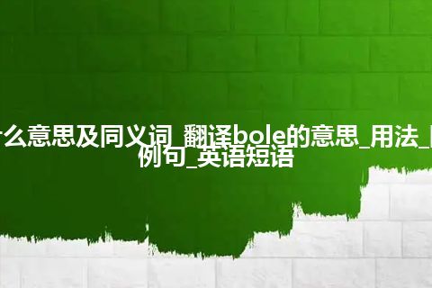 bole什么意思及同义词_翻译bole的意思_用法_同义词_例句_英语短语