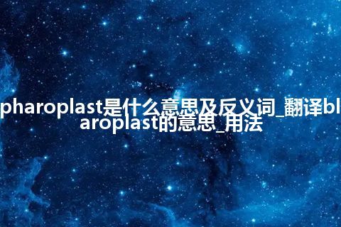 blepharoplast是什么意思及反义词_翻译blepharoplast的意思_用法